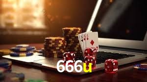 Interface Premium 666u